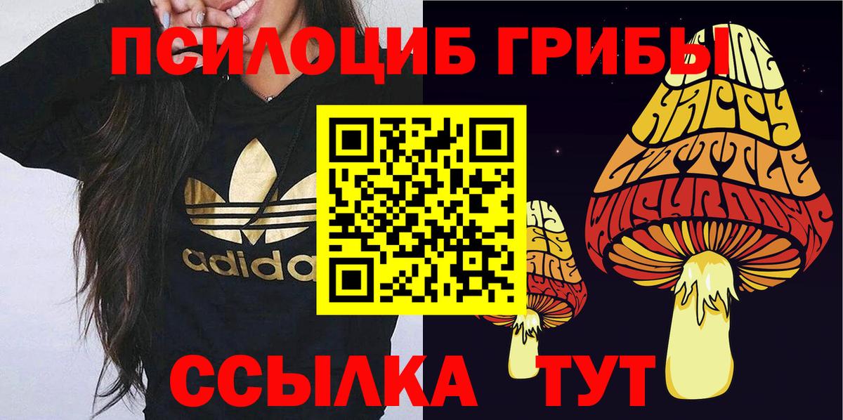 Лесной  цена   Вход с VPN  Галлюциногенные грибы Magic Shrooms  Галлюциногенные грибы Psilocybine cubensis 