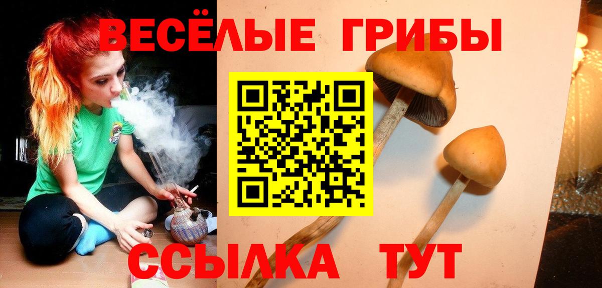 Псилоцибиновые грибы прущие грибы Лесной