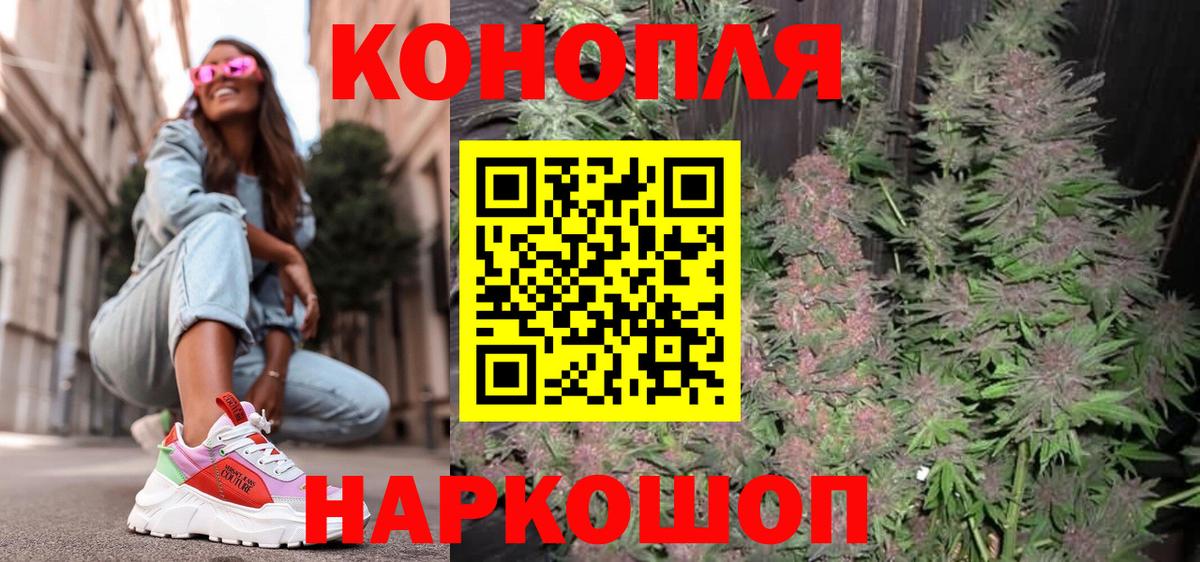 Каннабис OG Kush Лесной